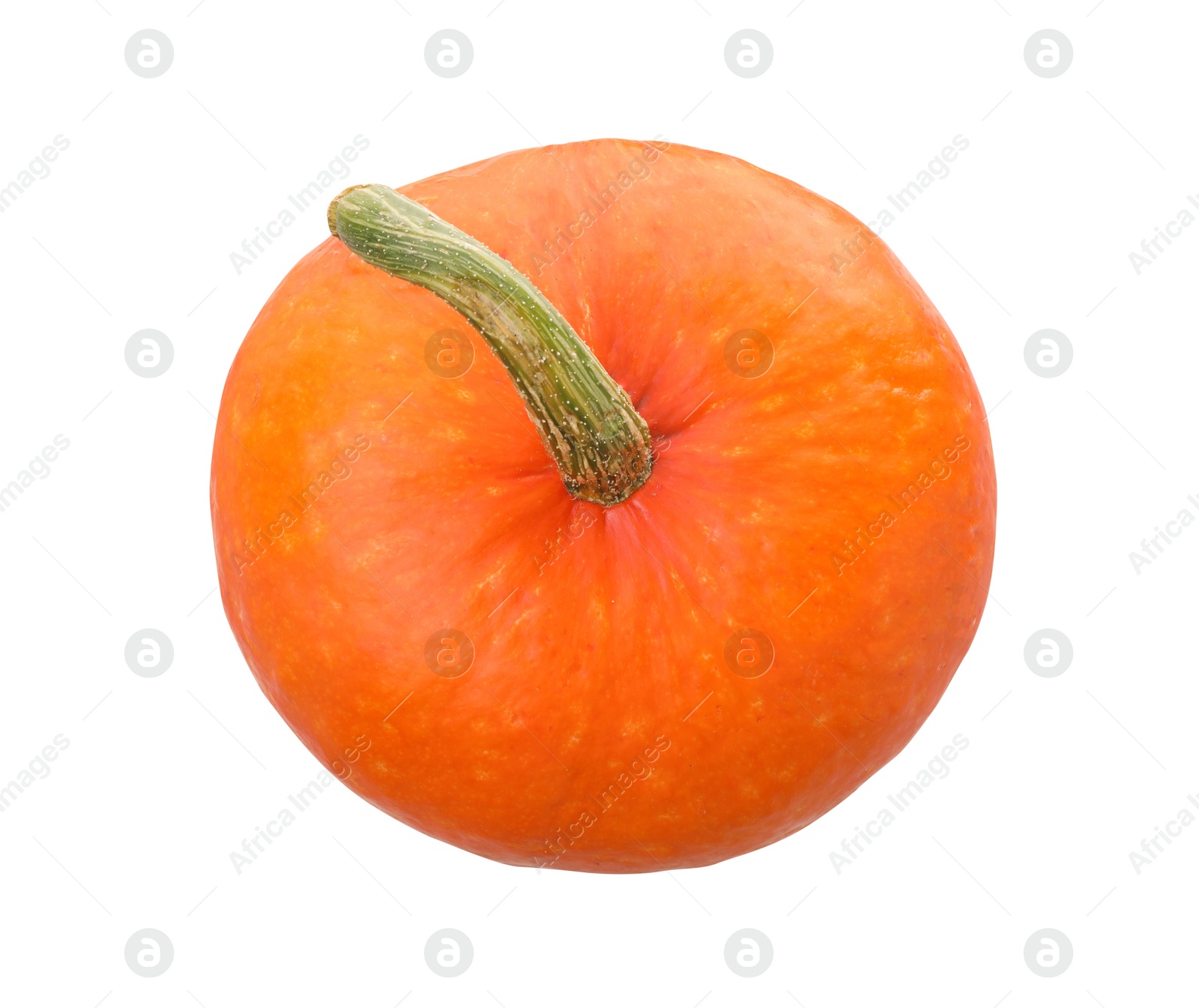 Photo of One fresh orange pumpkin isolated on white, top view