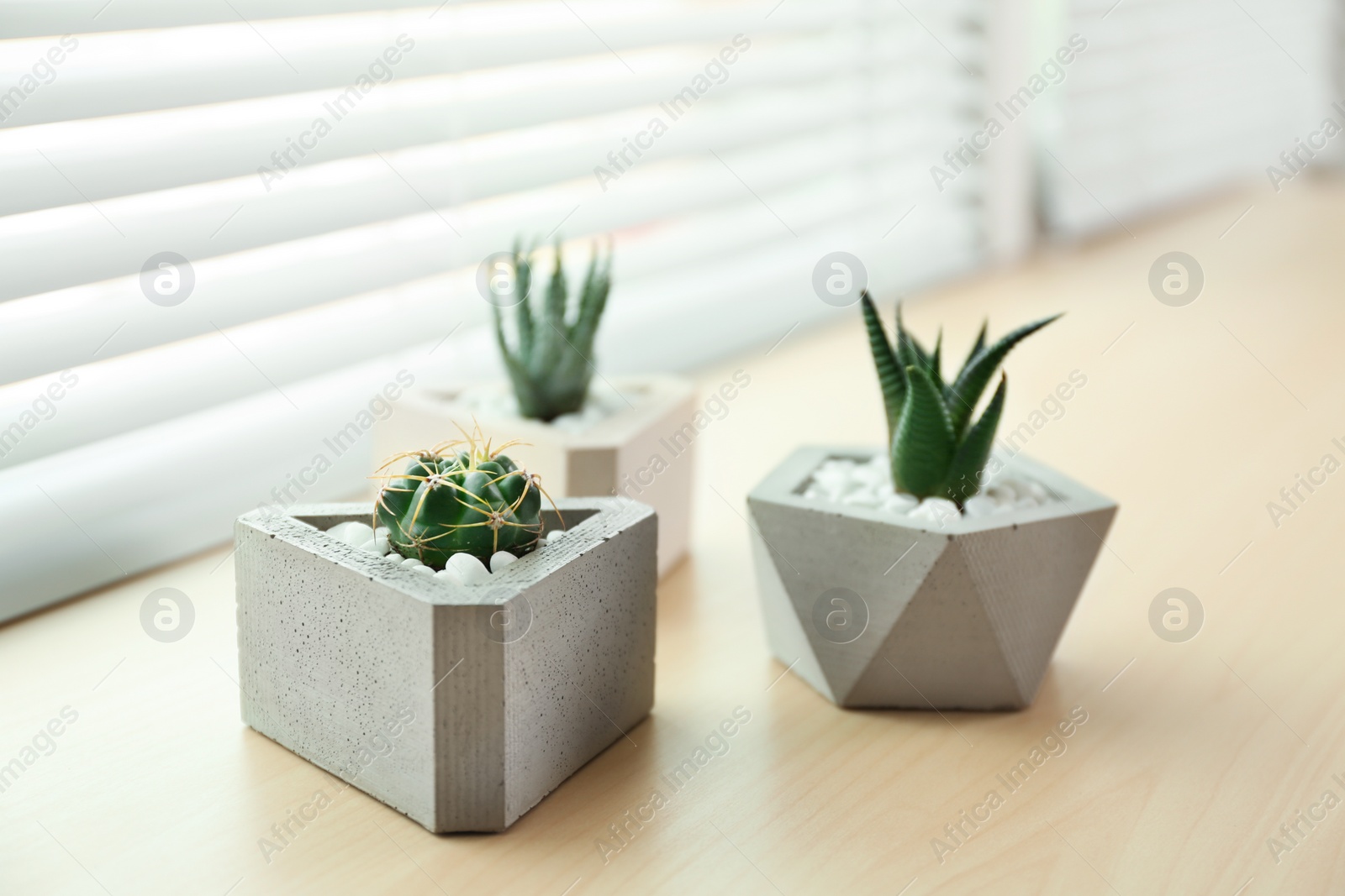 Photo of Window with blinds and potted plants on sill