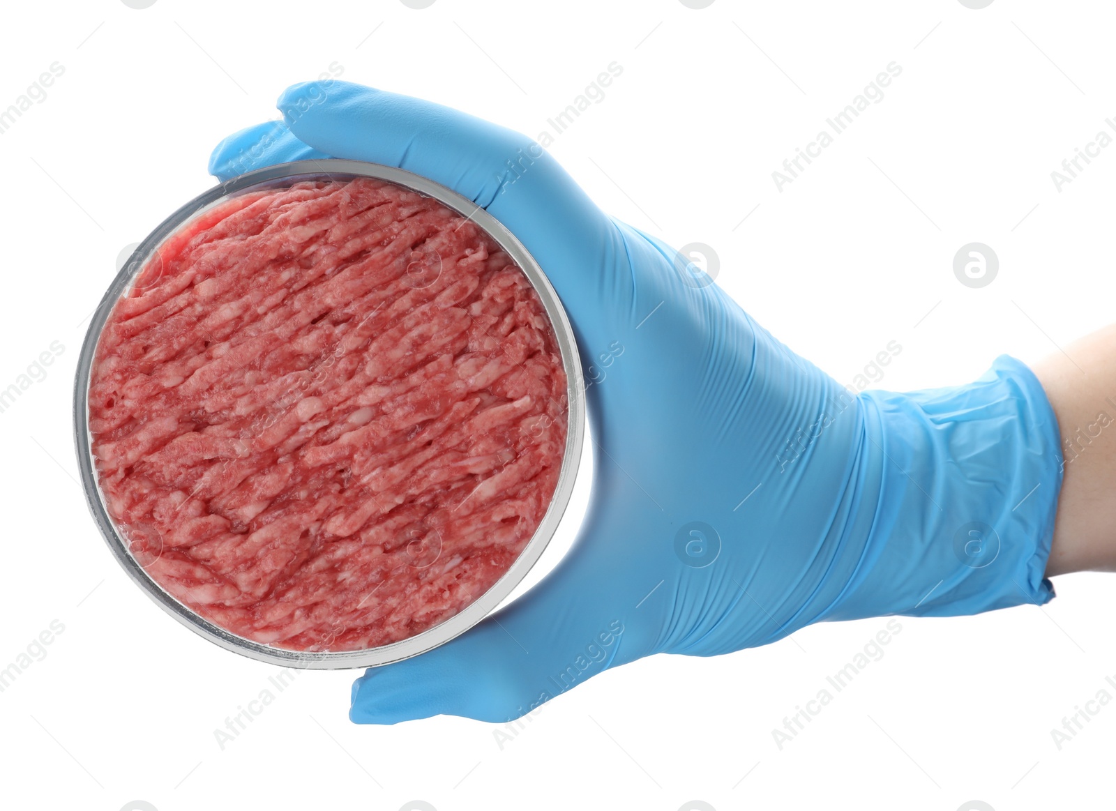 Photo of Scientist holding Petri dish with raw minced cultured meat on white background, top view