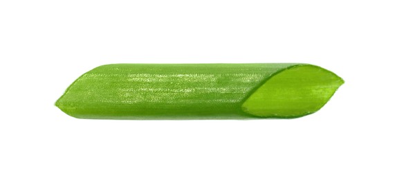 Piece of fresh green onion isolated on white