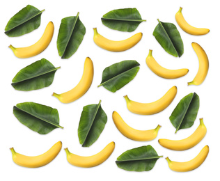 Image of Pattern of bananas and leaves on white background