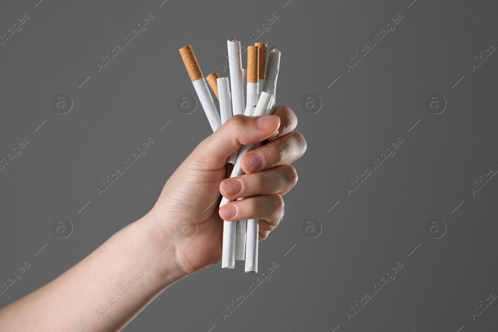 Photo of Stop smoking concept. Woman holding cigarettes on gray background, closeup with space for text