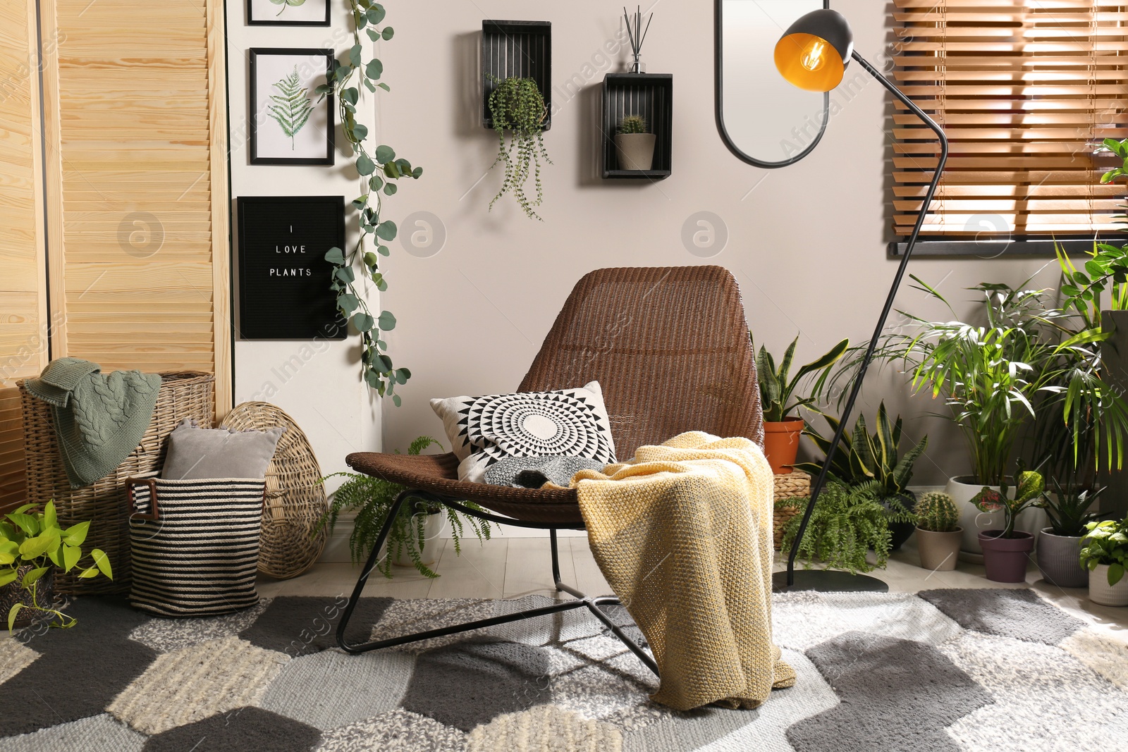 Photo of Lounge area interior with comfortable armchair and beautiful houseplants