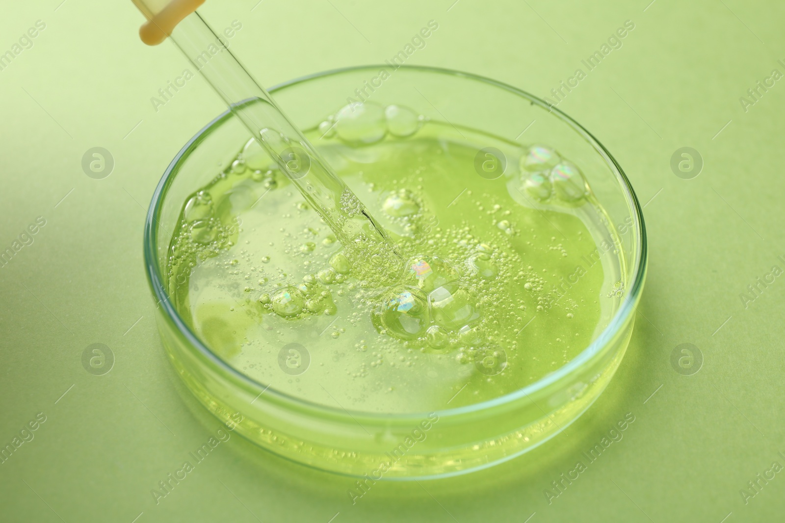 Photo of Petri dish with liquid sample and pipette on green background, closeup