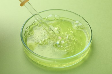 Petri dish with liquid sample and pipette on green background, closeup