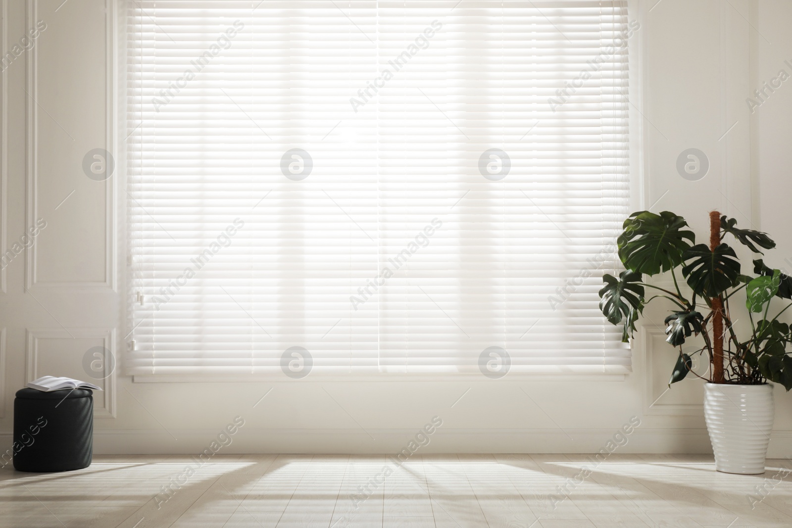 Photo of Monstera plant and pouf near large window with blinds in spacious room. Interior design