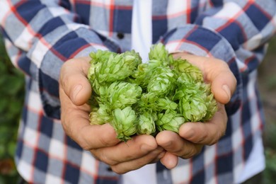 Photo of Man holding fresh green hops on blurred background, closeup