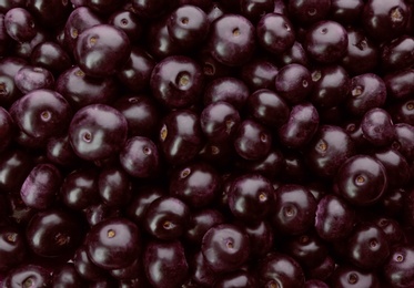 Photo of Fresh ripe acai berries as background, closeup