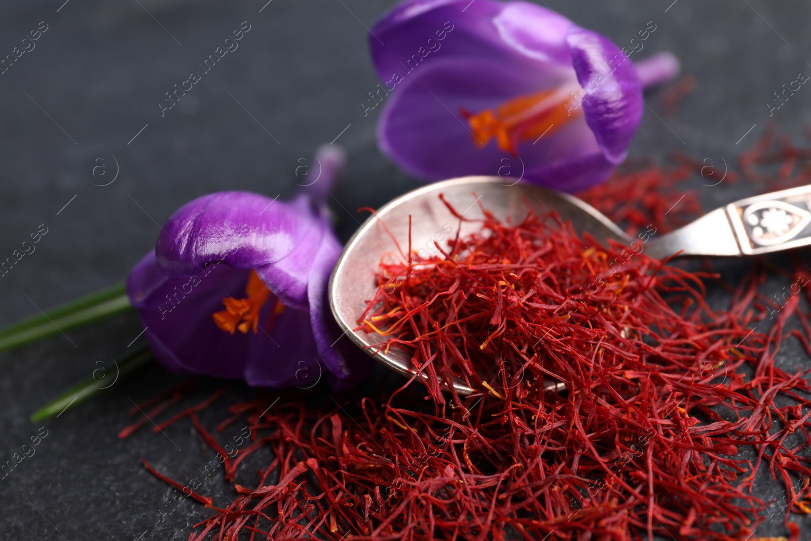 Photo of Dried saffron and crocus flowers on grey table, closeup