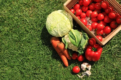 Different tasty vegetables on green grass outdoors, top view. Space for text