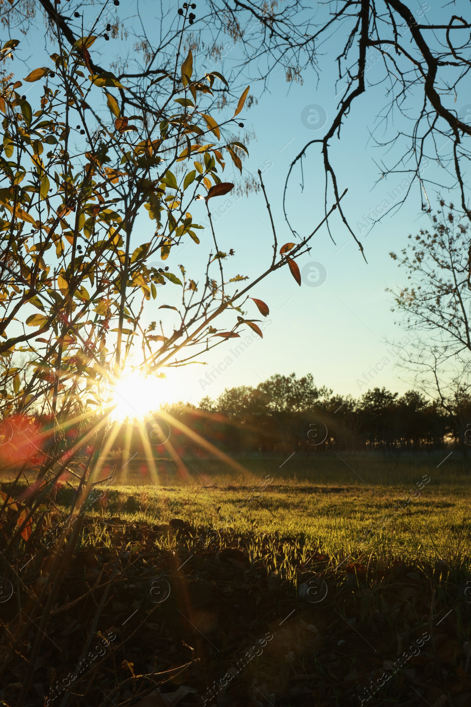 Photo of Picturesque view of beautiful countryside at sunset