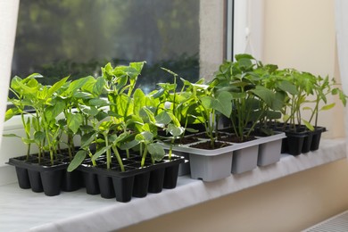 Photo of Seedlings growing in plastic containers with soil on windowsill indoors