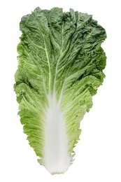 Photo of Leaf of Chinese cabbage isolated on white, top view