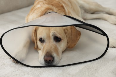 Photo of Sad Labrador Retriever with protective cone collar lying on floor in room