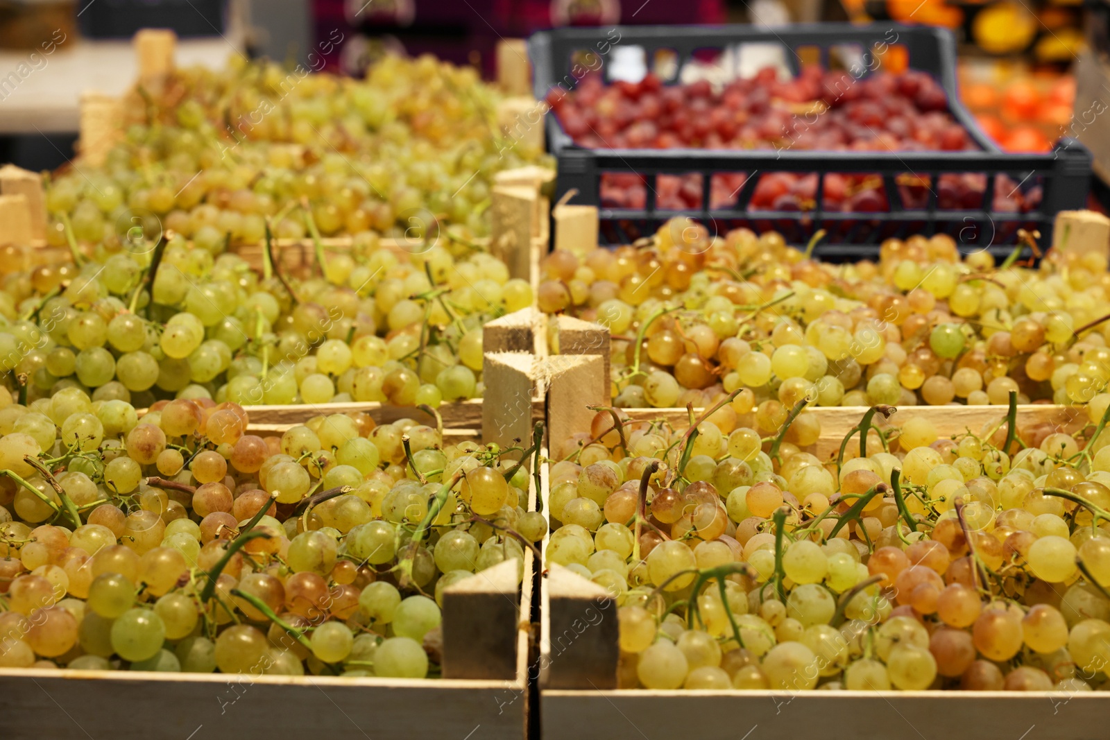 Photo of Many different fresh ripe grapes in wooden crates at wholesale market