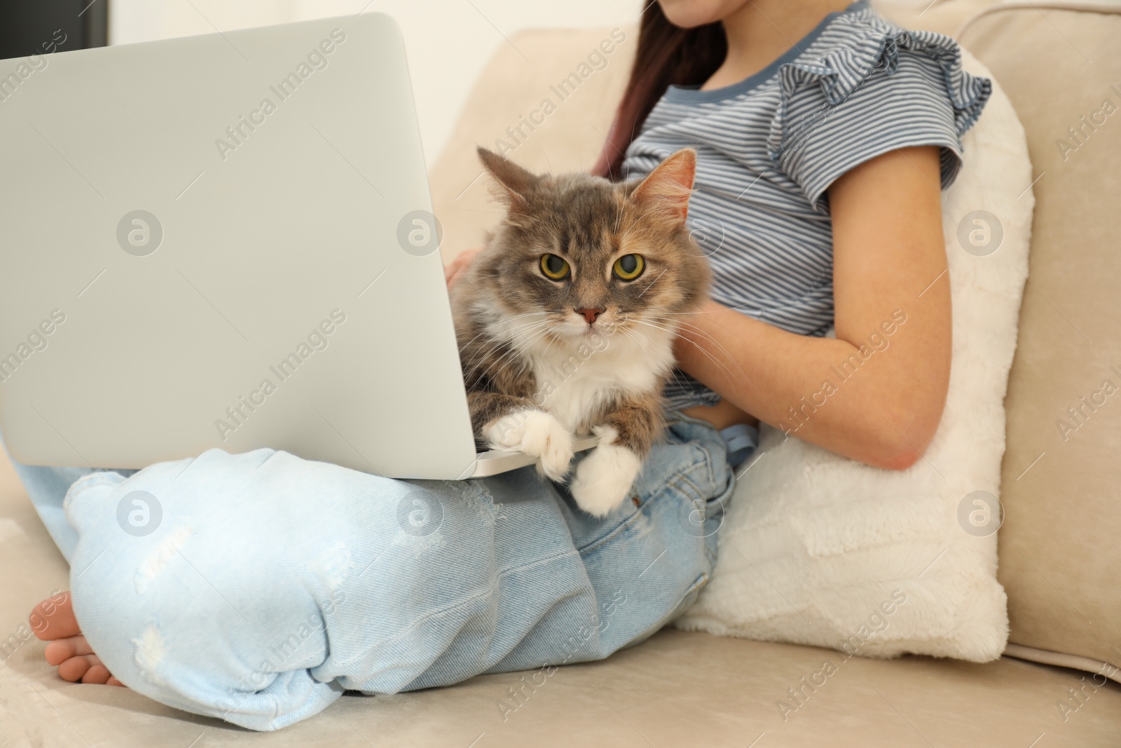 Photo of Cute little girl with laptop and cat on sofa at home, closeup. First pet