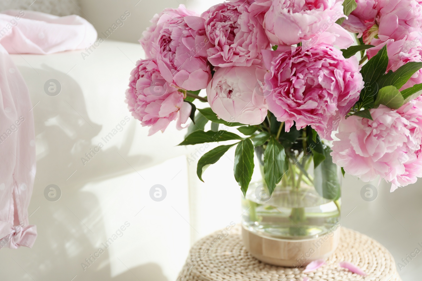 Photo of Bouquet of beautiful peonies on pouf indoors. Space for text