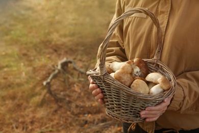 Photo of Woman holding basket with fresh mushrooms in forest, closeup