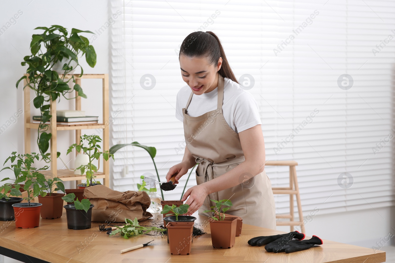 Photo of Happy woman planting seedling into pot at wooden table in room