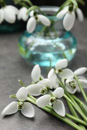 Photo of Beautiful snowdrops on grey table. Spring flowers
