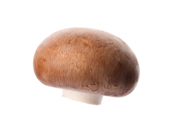 Fresh champignon mushroom isolated on white. Healthy food