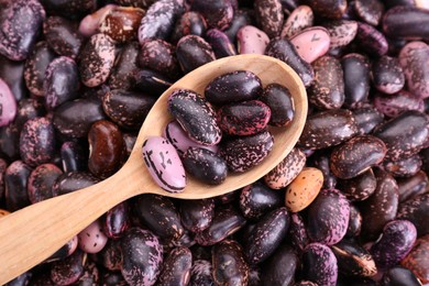 Photo of Wooden spoon on dry kidney beans, top view