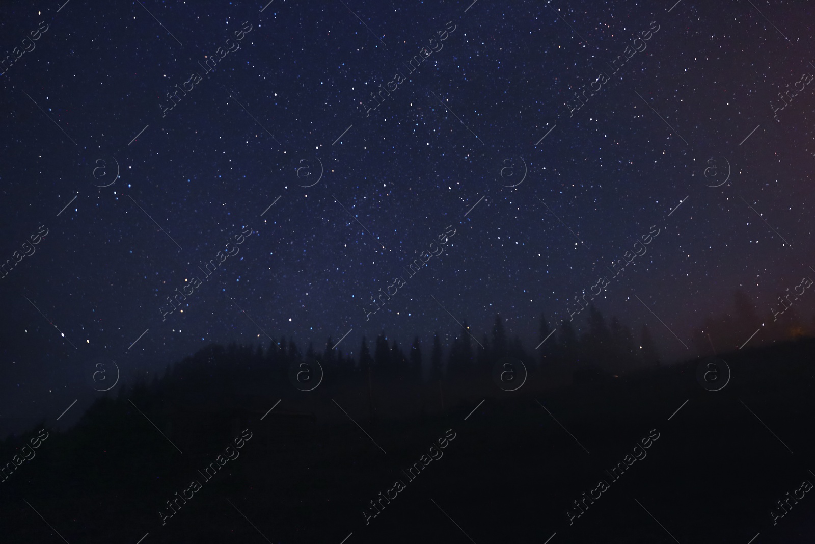 Photo of Picturesque view of forest and beautiful starry sky at night