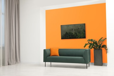 Beautiful interior with sofa and houseplant near orange wall