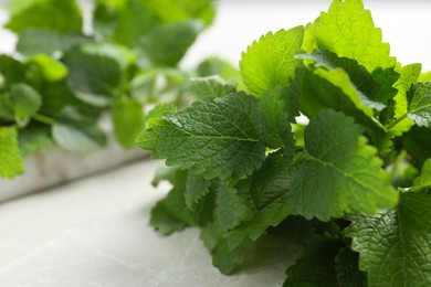 Photo of Fresh lemon balm on white marble table, closeup