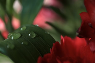 Photo of Beautiful leaf with water drops near flowers on blurred background, closeup