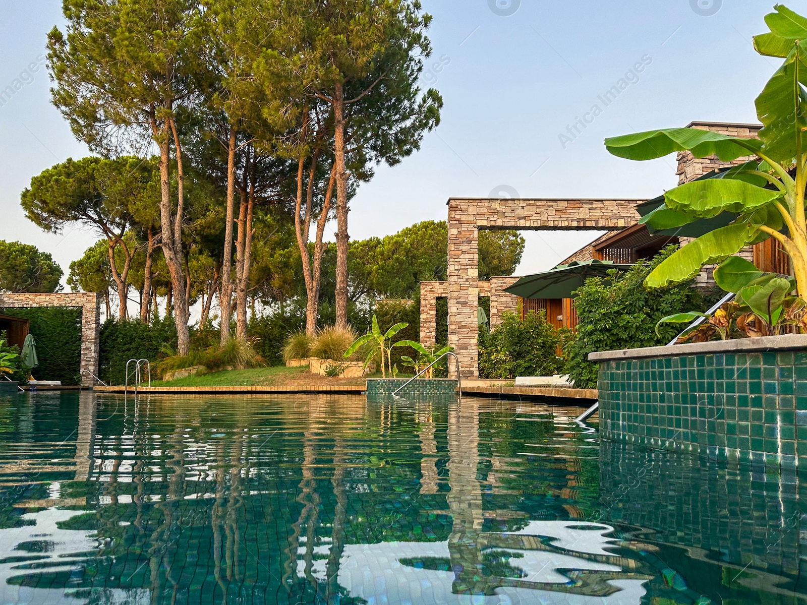 Photo of Swimming pool and exotic plants at luxury resort