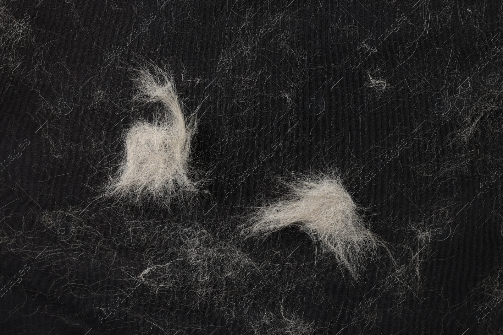 Photo of Pet hair on black fabric, top view