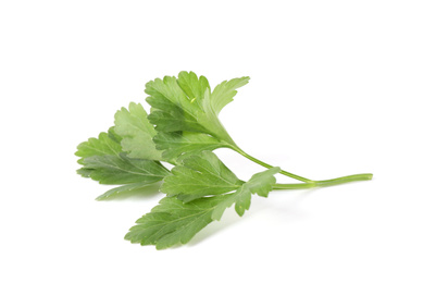 Photo of Aromatic fresh green parsley isolated on white