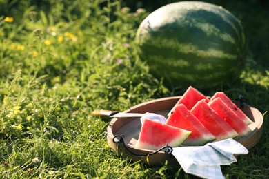 Photo of Tasty ripe watermelons on green grass. Space for text