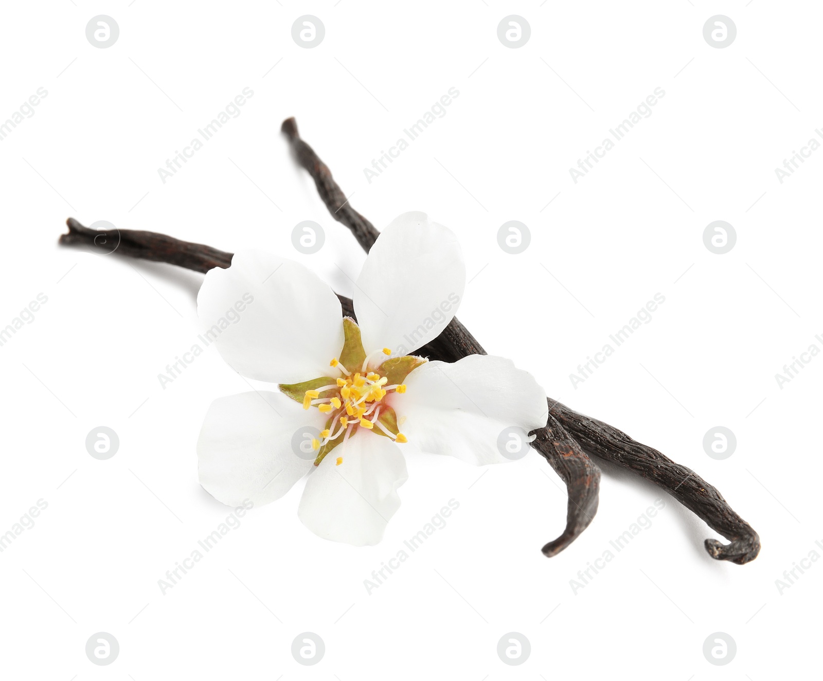 Photo of Aromatic vanilla sticks and flower on white background