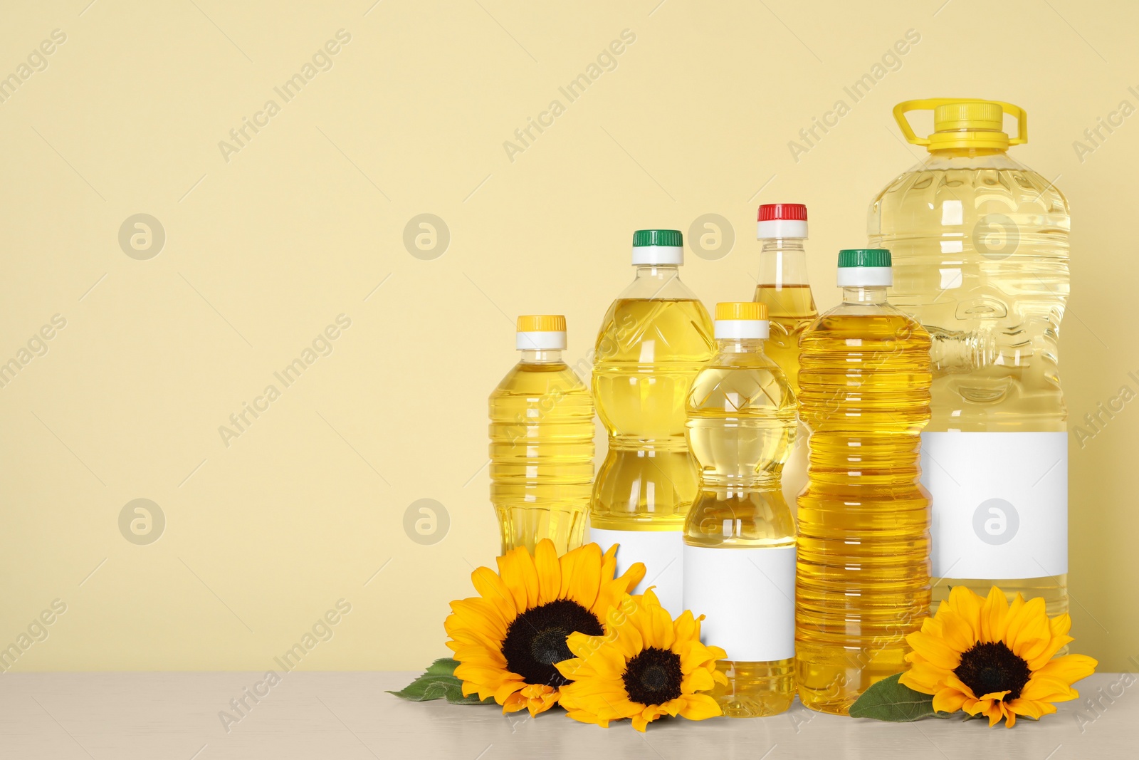 Photo of Bottles of cooking oil and sunflowers on white table, space for text