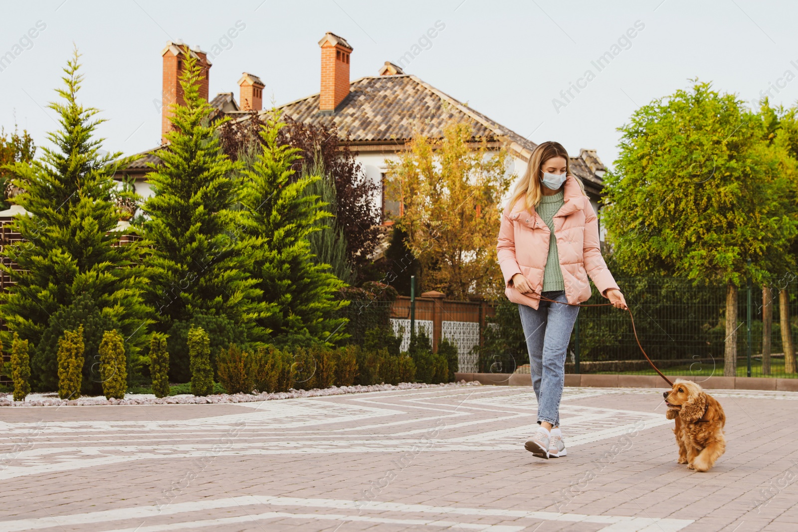 Photo of Woman in protective mask with English Cocker Spaniel outdoors. Walking dog during COVID-19 pandemic