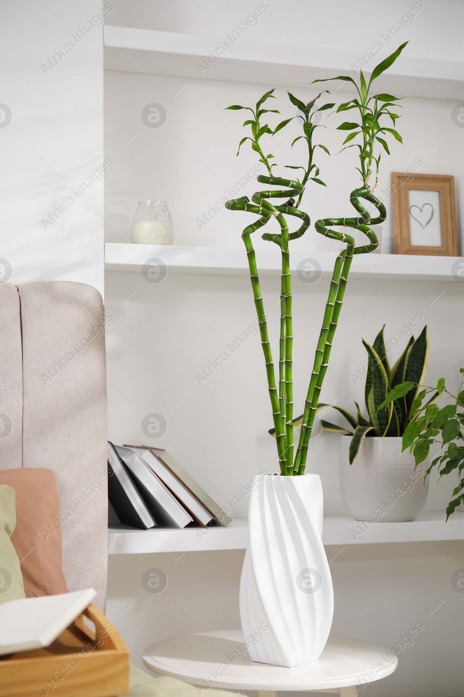 Photo of Vase with green bamboo stems on table in bedroom