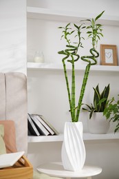 Photo of Vase with green bamboo stems on table in bedroom