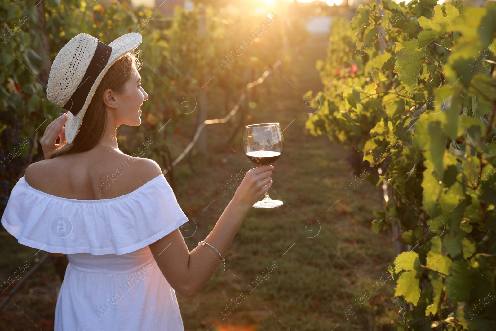 Photo of Beautiful young woman with glass of wine in vineyard on sunny day, back view