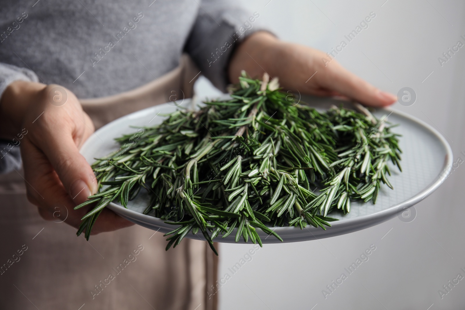 Photo of Woman holding plate with fresh rosemary twigs on light background, closeup