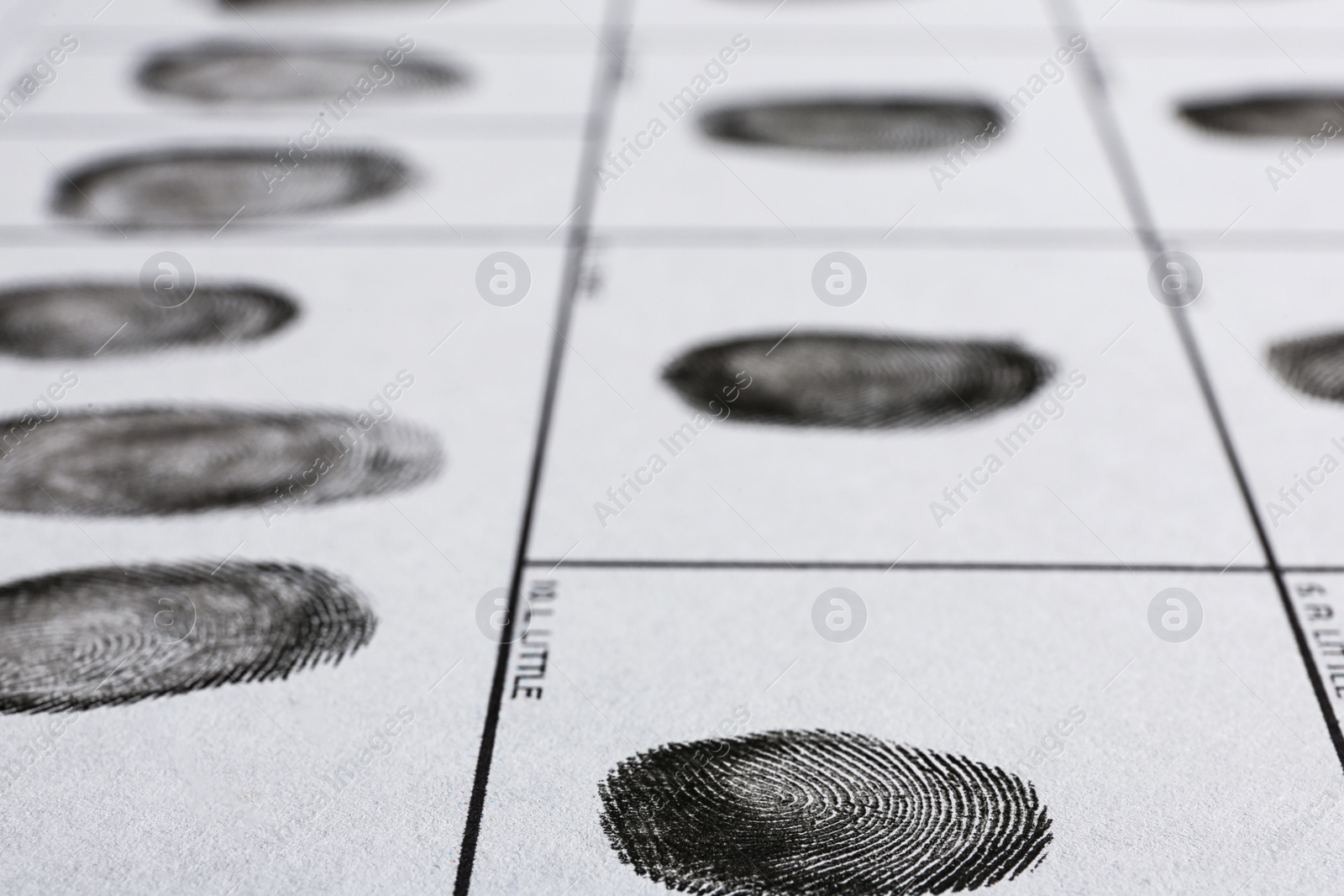 Photo of Fingerprint record sheet, closeup view. Criminal investigation