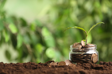 Coins and green sprout on soil against blurred background, space for text. Money savings