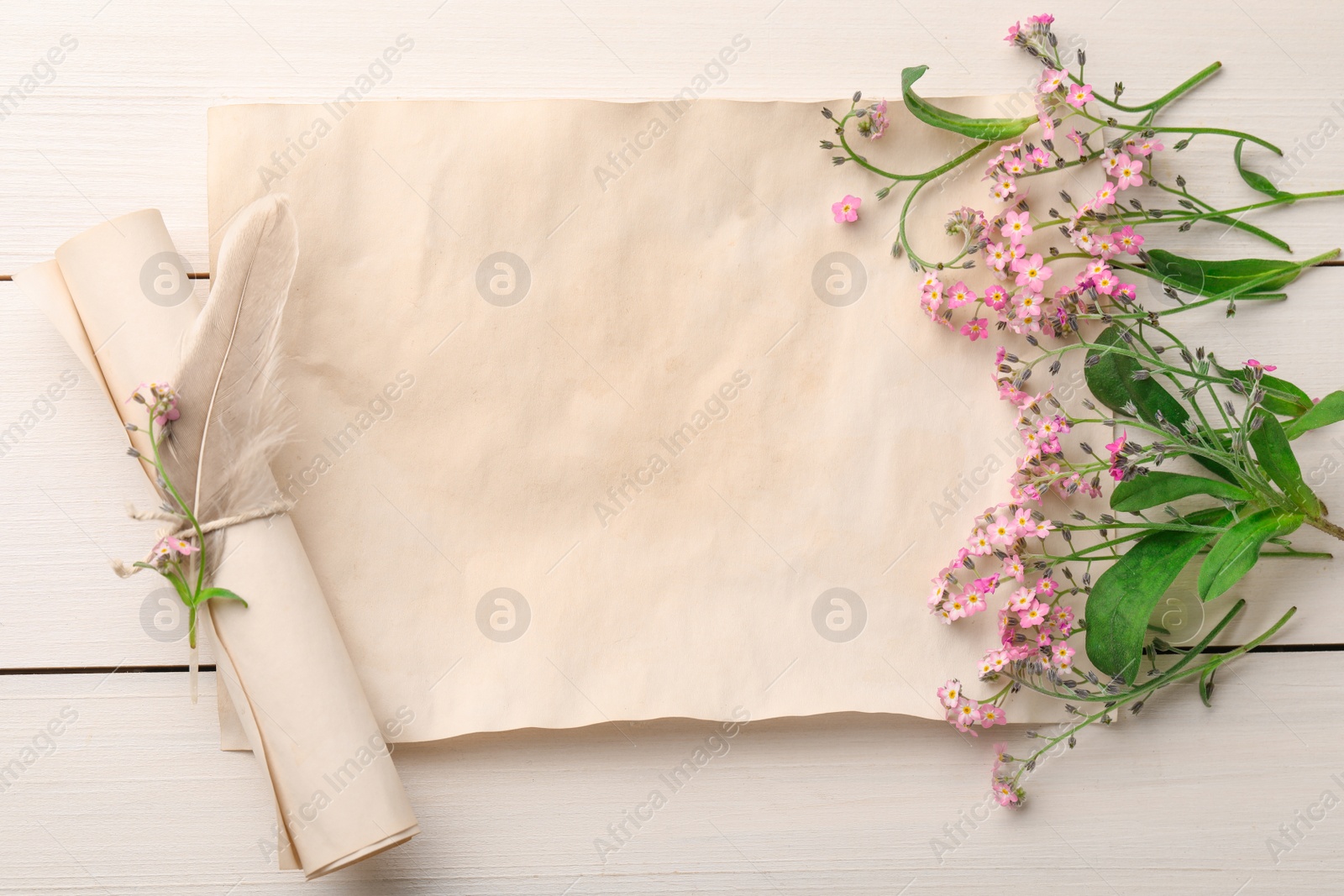 Photo of Beautiful Forget-me-not flowers and parchment on white wooden table, flat lay. Space for text