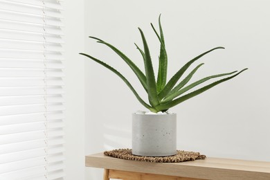 Photo of Beautiful potted aloe vera plant on table indoors, space for text