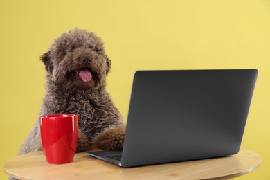 Photo of Cute Toy Poodle dog near laptop and cup on wooden table against yellow background