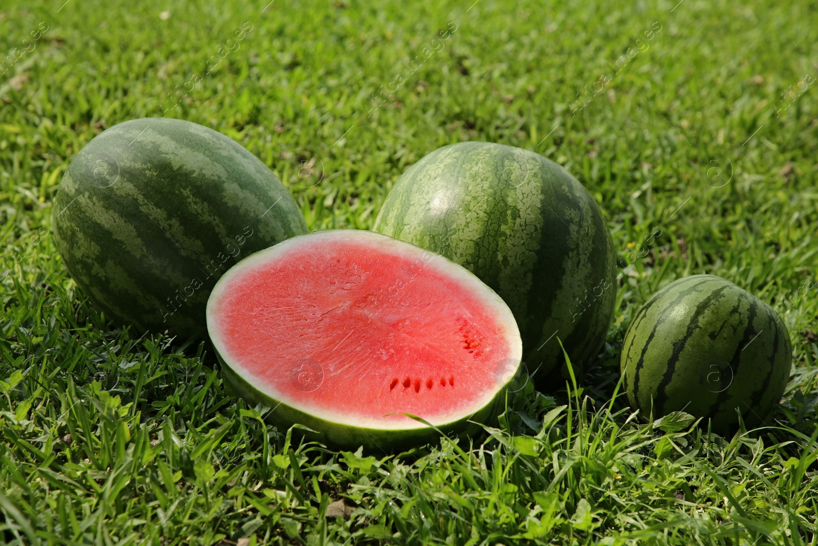 Photo of Delicious ripe watermelons on green grass outdoors