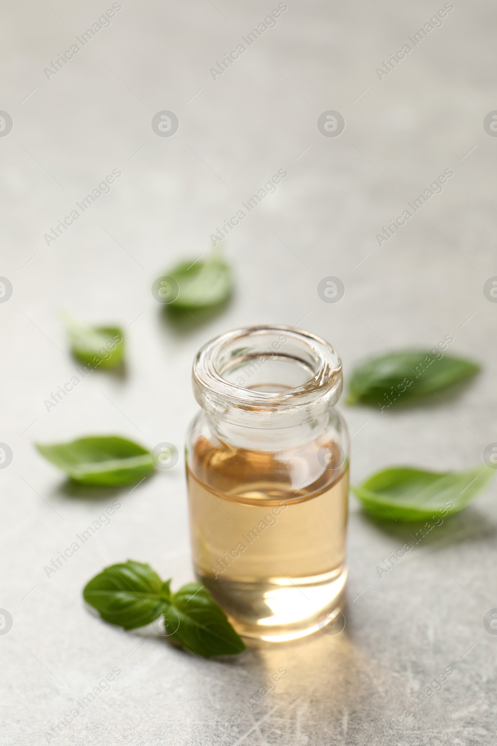 Photo of Glass bottle of basil essential oil and leaves on light grey table, closeup