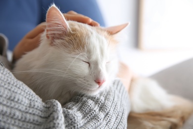 Photo of Woman with cute fluffy cat on blurred background, closeup