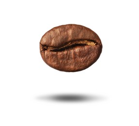 Brown roasted coffee bean on white background 